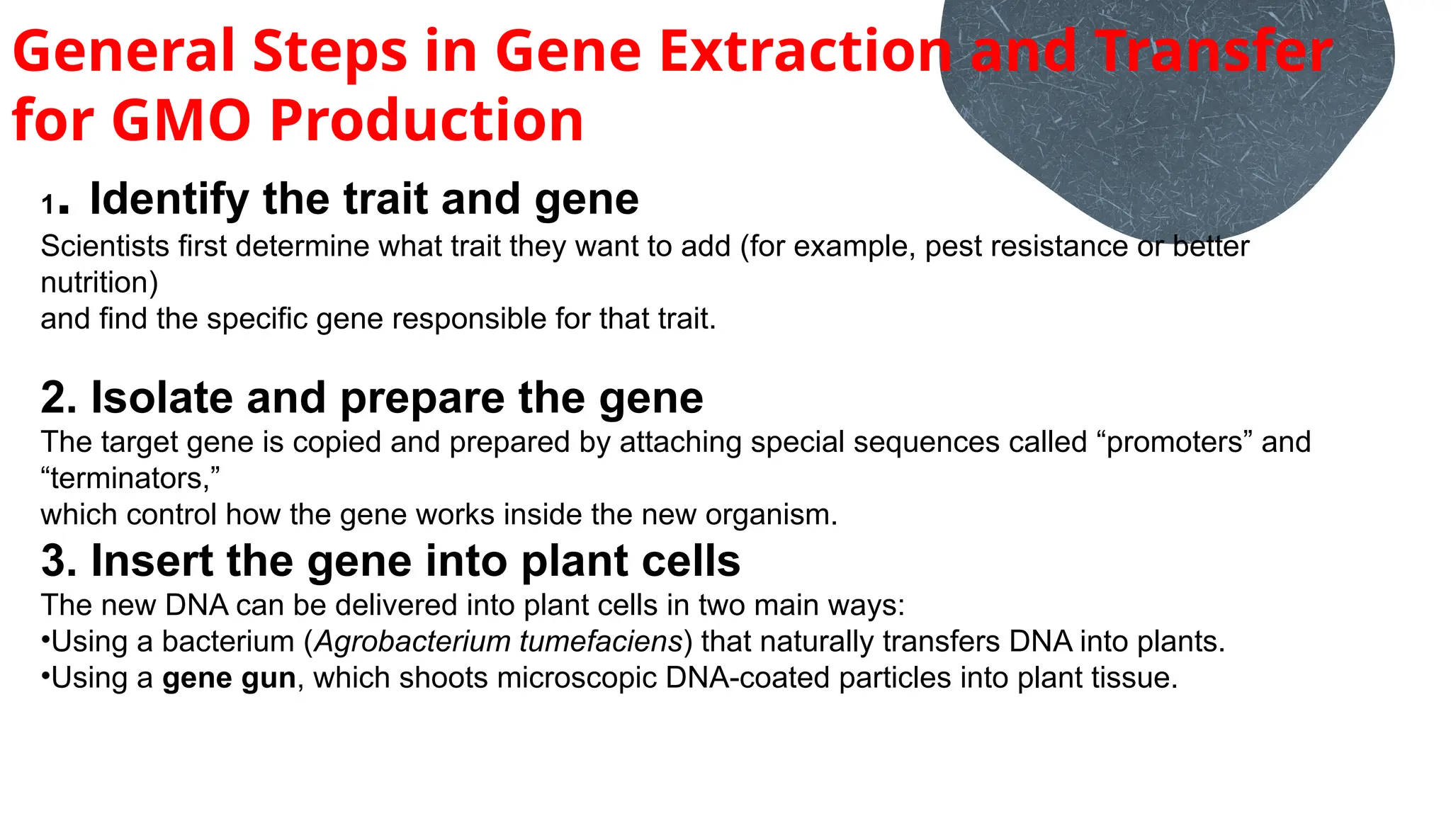 General Steps in Gene Extraction and Transfer
for GMO Production
1. Identify the trait and gene
Scientists first determine what trait they want to add (for example, pest resistance or better
nutrition)
and find the specific gene responsible for that trait.
2. Isolate and prepare the gene
The target gene is copied and prepared by attaching special sequences called “promoters” and
“terminators,”
which control how the gene works inside the new organism.
3. Insert the gene into plant cells
The new DNA can be delivered into plant cells in two main ways:
•Using a bacterium (Agrobacterium tumefaciens) that naturally transfers DNA into plants.
•Using a gene gun, which shoots microscopic DNA-coated particles into plant tissue.
 