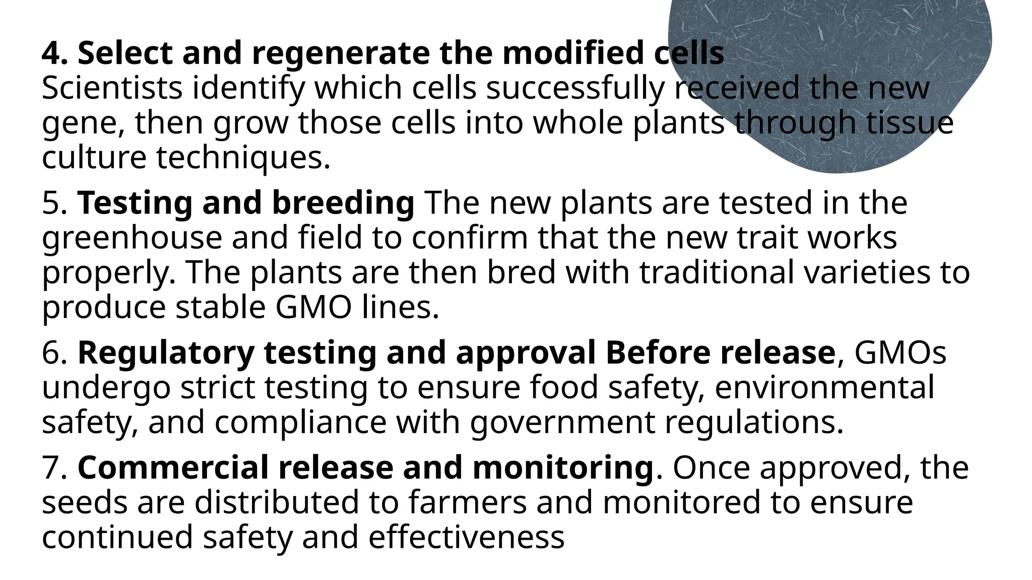 4. Select and regenerate the modified cells
Scientists identify which cells successfully received the new
gene, then grow those cells into whole plants through tissue
culture techniques.
5. Testing and breeding The new plants are tested in the
greenhouse and field to confirm that the new trait works
properly. The plants are then bred with traditional varieties to
produce stable GMO lines.
6. Regulatory testing and approval Before release, GMOs
undergo strict testing to ensure food safety, environmental
safety, and compliance with government regulations.
7. Commercial release and monitoring. Once approved, the
seeds are distributed to farmers and monitored to ensure
continued safety and effectiveness
 