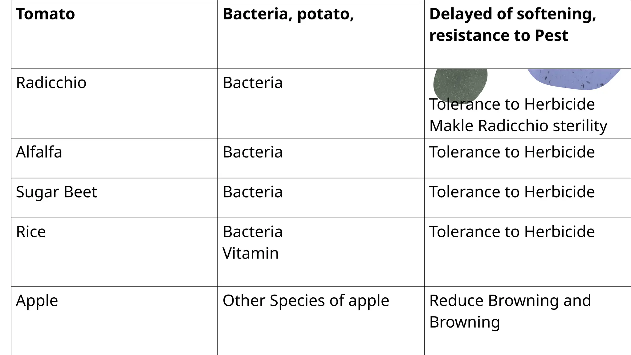 Tomato Bacteria, potato, Delayed of softening,
resistance to Pest
Radicchio Bacteria
Tolerance to Herbicide
Makle Radicchio sterility
Alfalfa Bacteria Tolerance to Herbicide
Sugar Beet Bacteria Tolerance to Herbicide
Rice Bacteria
Vitamin
Tolerance to Herbicide
Apple Other Species of apple Reduce Browning and
Browning
 