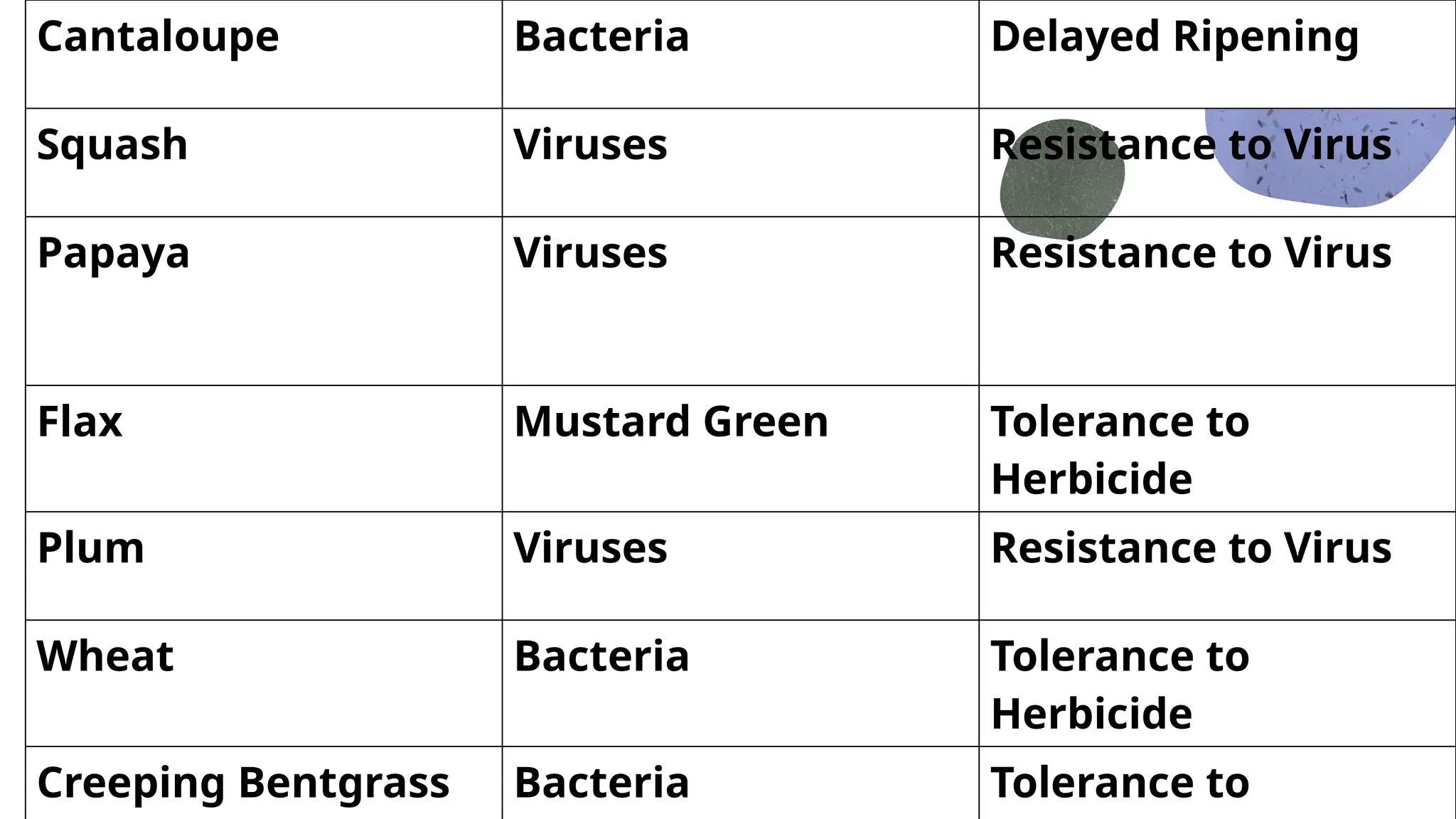 Cantaloupe Bacteria Delayed Ripening
Squash Viruses Resistance to Virus
Papaya Viruses Resistance to Virus
Flax Mustard Green Tolerance to
Herbicide
Plum Viruses Resistance to Virus
Wheat Bacteria Tolerance to
Herbicide
Creeping Bentgrass Bacteria Tolerance to
 