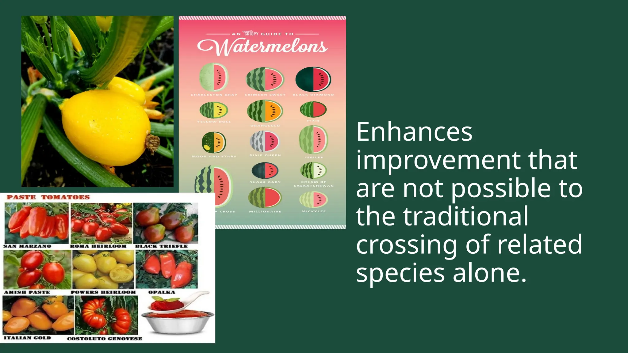 Enhances
improvement that
are not possible to
the traditional
crossing of related
species alone.
 