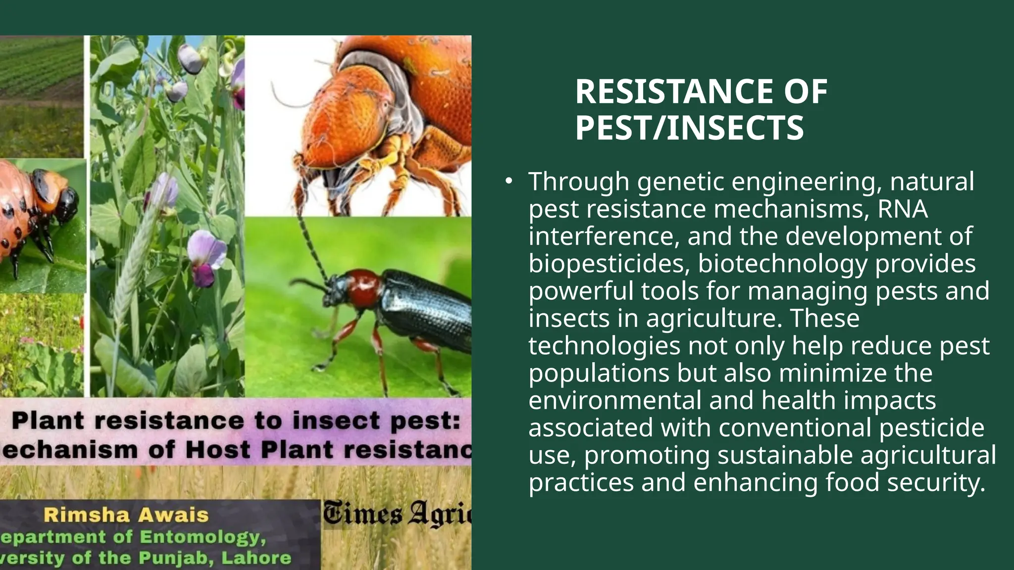 RESISTANCE OF
PEST/INSECTS
• Through genetic engineering, natural
pest resistance mechanisms, RNA
interference, and the development of
biopesticides, biotechnology provides
powerful tools for managing pests and
insects in agriculture. These
technologies not only help reduce pest
populations but also minimize the
environmental and health impacts
associated with conventional pesticide
use, promoting sustainable agricultural
practices and enhancing food security.
 