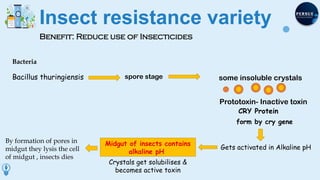Lyse Insect Biotechnology & Its Application Lec 01.pptx