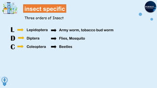 Biotechnology & Its Application Lec 01.pptx