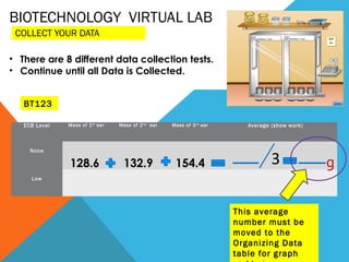 BIOTECHNOLOGY VIRTUAL LAB
COLLECT YOUR DATA
ECB Level Mass of 1st
ear Mass of 2nd
ear Mass of 3rd
ear Average (show work)
 
None
128.6  132.9 154.4
 
3
 
Low
       
• There are 8 different data collection tests.
• Continue until all Data is Collected.
g
This average
number must be
moved to the
Organizing Data
table for graph
BT123
 