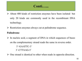  About 400 kinds of restriction enzymes have been isolated but
only 20 kinds are commonly used in the recombinant DNA
technology.
 Restriction enzymes always cut at palindrome sequence.
Palindrome
 In nucleic acid, a segment of DNA in which sequences of bases
on the complementary strand reads the same in reverse order.
5´-GAATTC-3´
3´-CTTAAG-5´
 One strand is identical to other when reads in opposite direction.
Conti…...
12
 