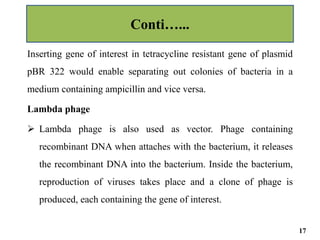 Inserting gene of interest in tetracycline resistant gene of plasmid
pBR 322 would enable separating out colonies of bacteria in a
medium containing ampicillin and vice versa.
Lambda phage
 Lambda phage is also used as vector. Phage containing
recombinant DNA when attaches with the bacterium, it releases
the recombinant DNA into the bacterium. Inside the bacterium,
reproduction of viruses takes place and a clone of phage is
produced, each containing the gene of interest.
Conti…...
17
 