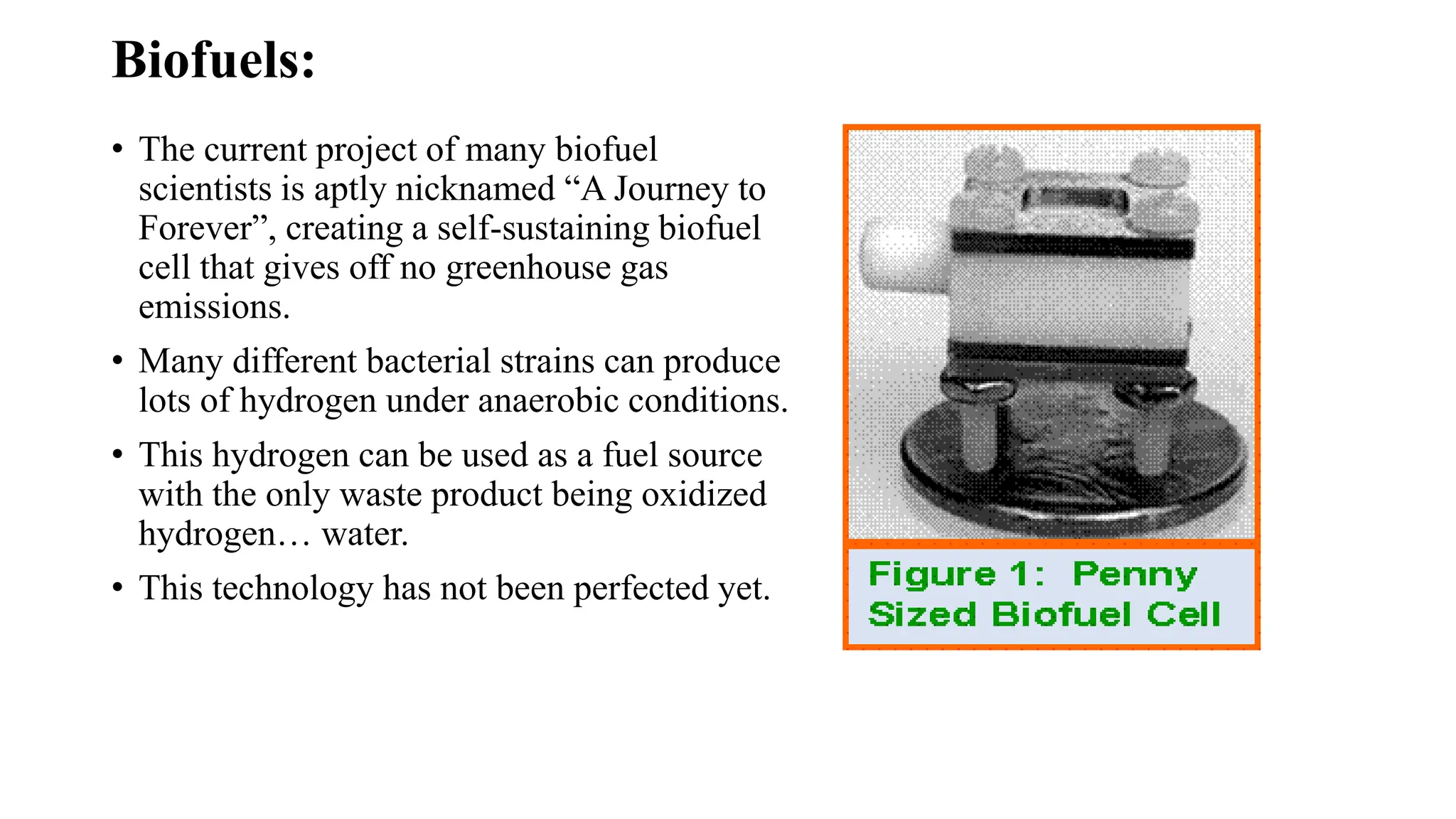 Biofuels:
• The current project of many biofuel
scientists is aptly nicknamed “A Journey to
Forever”, creating a self-sustaining biofuel
cell that gives off no greenhouse gas
emissions.
• Many different bacterial strains can produce
lots of hydrogen under anaerobic conditions.
• This hydrogen can be used as a fuel source
with the only waste product being oxidized
hydrogen… water.
• This technology has not been perfected yet.
 