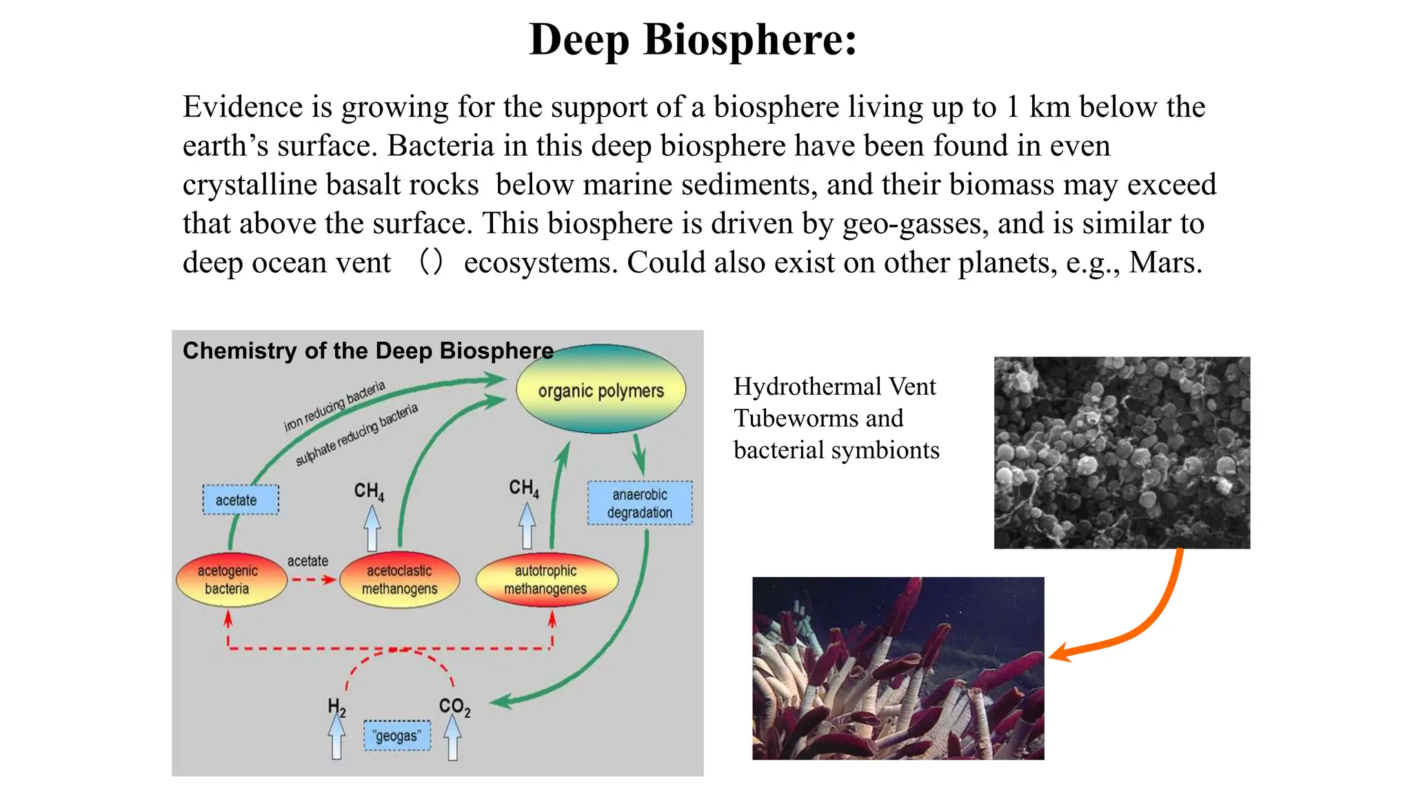 Deep Biosphere:
Evidence is growing for the support of a biosphere living up to 1 km below the
earth’s surface. Bacteria in this deep biosphere have been found in even
crystalline basalt rocks below marine sediments, and their biomass may exceed
that above the surface. This biosphere is driven by geo-gasses, and is similar to
deep ocean vent （）ecosystems. Could also exist on other planets, e.g., Mars.
Hydrothermal Vent
Tubeworms and
bacterial symbionts
Chemistry of the Deep Biosphere
 