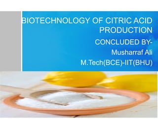BIOTECHNOLOGY OF CITRIC ACID
PRODUCTION
CONCLUDED BY-
Musharraf Ali
M.Tech(BCE)-IIT(BHU)
 