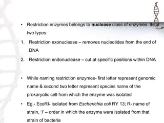 • Restriction enzymes belongs to nuclease class of enzymes. Its of
two types:
1. Restriction exonuclease – removes nucleotides from the end of
DNA
2. Restriction endonuclease – cut at specific positions within DNA
• While naming restriction enzymes- first letter represent genomic
name & second two letter represent species name of the
prokaryotic cell from which the enzyme was isolated
• Eg.- EcoRI- isolated from Escherichia coli RY 13; R- name of
strain, ‘I’ – order in which the enzyme were isolated from that
strain of bacteria
 