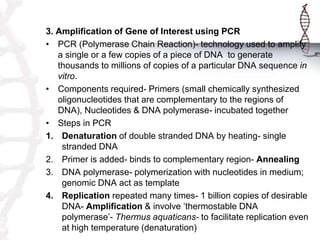 3. Amplification of Gene of Interest using PCR
• PCR (Polymerase Chain Reaction)- technology used to amplify
a single or a few copies of a piece of DNA to generate
thousands to millions of copies of a particular DNA sequence in
vitro.
• Components required- Primers (small chemically synthesized
oligonucleotides that are complementary to the regions of
DNA), Nucleotides & DNA polymerase- incubated together
• Steps in PCR
1. Denaturation of double stranded DNA by heating- single
stranded DNA
2. Primer is added- binds to complementary region- Annealing
3. DNA polymerase- polymerization with nucleotides in medium;
genomic DNA act as template
4. Replication repeated many times- 1 billion copies of desirable
DNA- Amplification & involve ‘thermostable DNA
polymerase’- Thermus aquaticans- to facilitate replication even
at high temperature (denaturation)
 