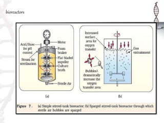 bioreactors
 