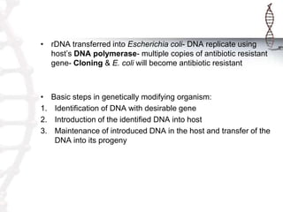 • rDNA transferred into Escherichia coli- DNA replicate using
host’s DNA polymerase- multiple copies of antibiotic resistant
gene- Cloning & E. coli will become antibiotic resistant
• Basic steps in genetically modifying organism:
1. Identification of DNA with desirable gene
2. Introduction of the identified DNA into host
3. Maintenance of introduced DNA in the host and transfer of the
DNA into its progeny
 