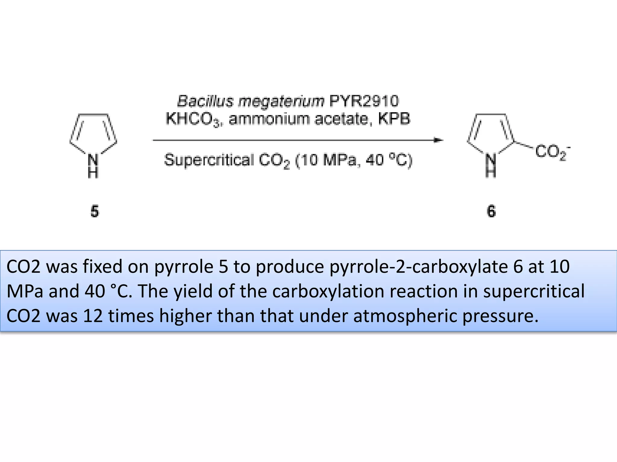 CO2 was fixed on pyrrole 5 to produce pyrrole-2-carboxylate 6 at 10
MPa and 40 °C. The yield of the carboxylation reaction in supercritical
CO2 was 12 times higher than that under atmospheric pressure.
 