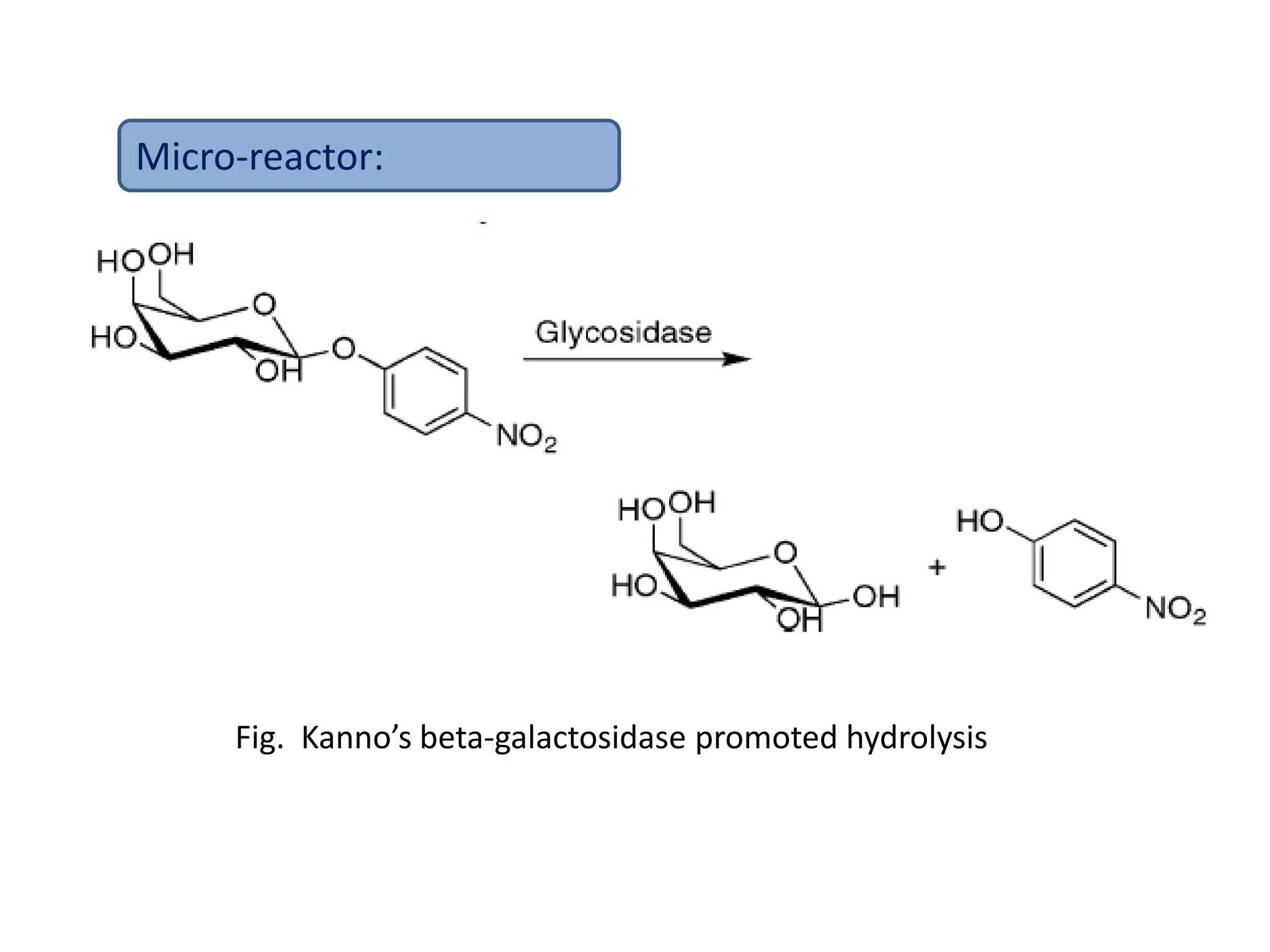 Fig. Kanno’s beta-galactosidase promoted hydrolysis
Micro-reactor:
 