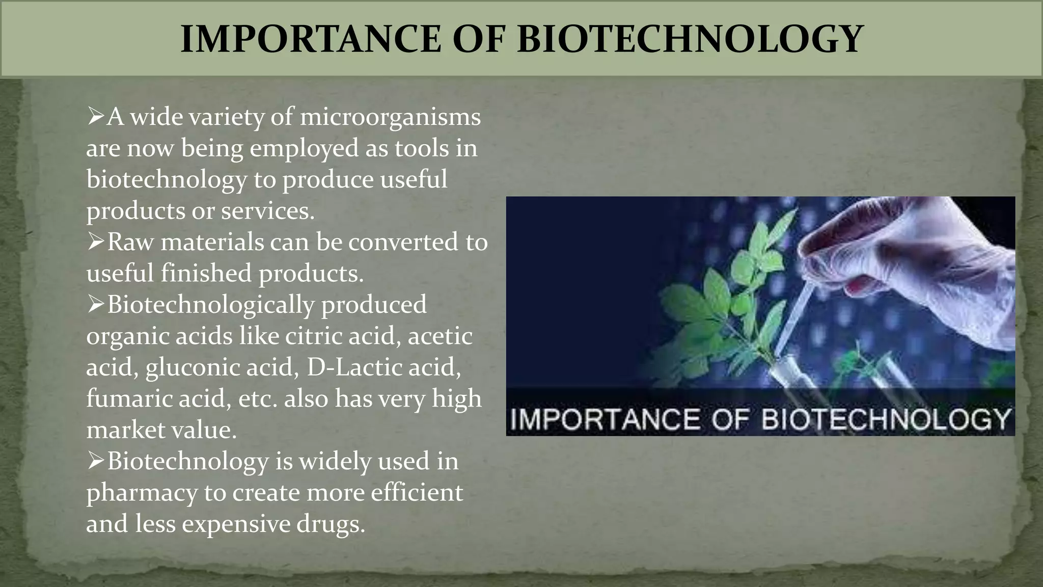 IMPORTANCE OF BIOTECHNOLOGY
A wide variety of microorganisms
are now being employed as tools in
biotechnology to produce useful
products or services.
Raw materials can be converted to
useful finished products.
Biotechnologically produced
organic acids like citric acid, acetic
acid, gluconic acid, D-Lactic acid,
fumaric acid, etc. also has very high
market value.
Biotechnology is widely used in
pharmacy to create more efficient
and less expensive drugs.
 