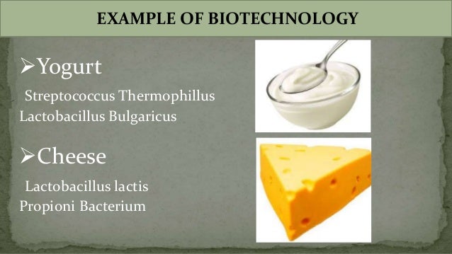 biotechnology ppt by anila rani pullagura biotechnology examples