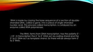 Structural Organization Of Nucleic Acids | PDF