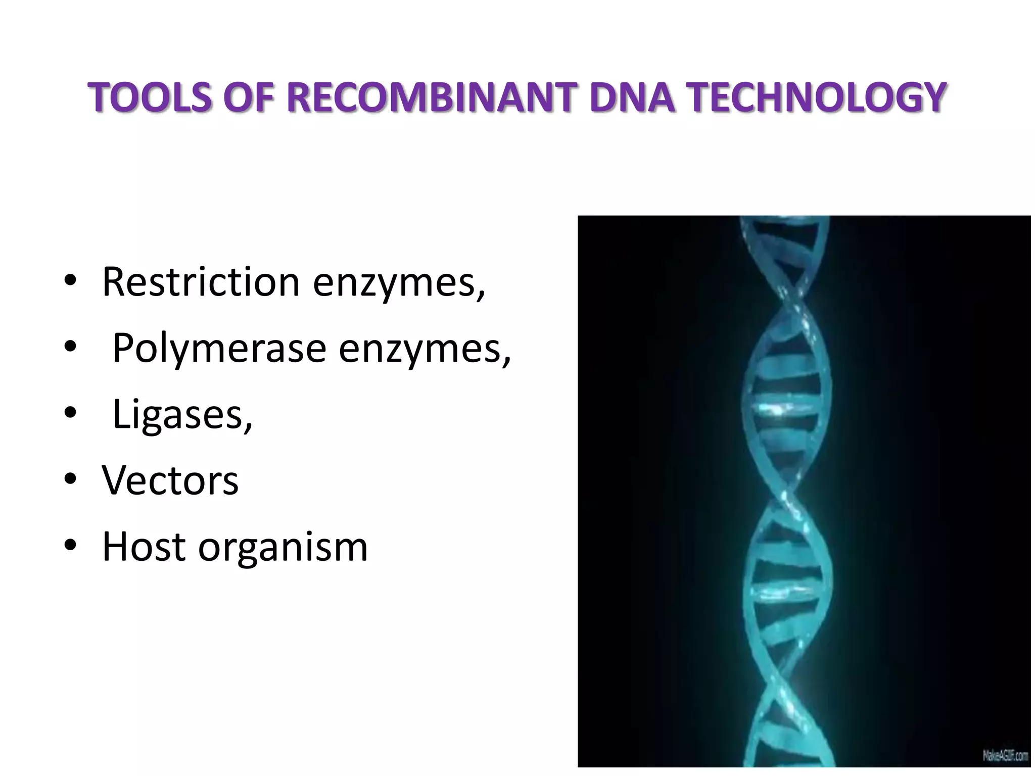 Biotechnology principles and process: Vectors, Restriction endonuclease enzymes, Tools of r-DNA technology