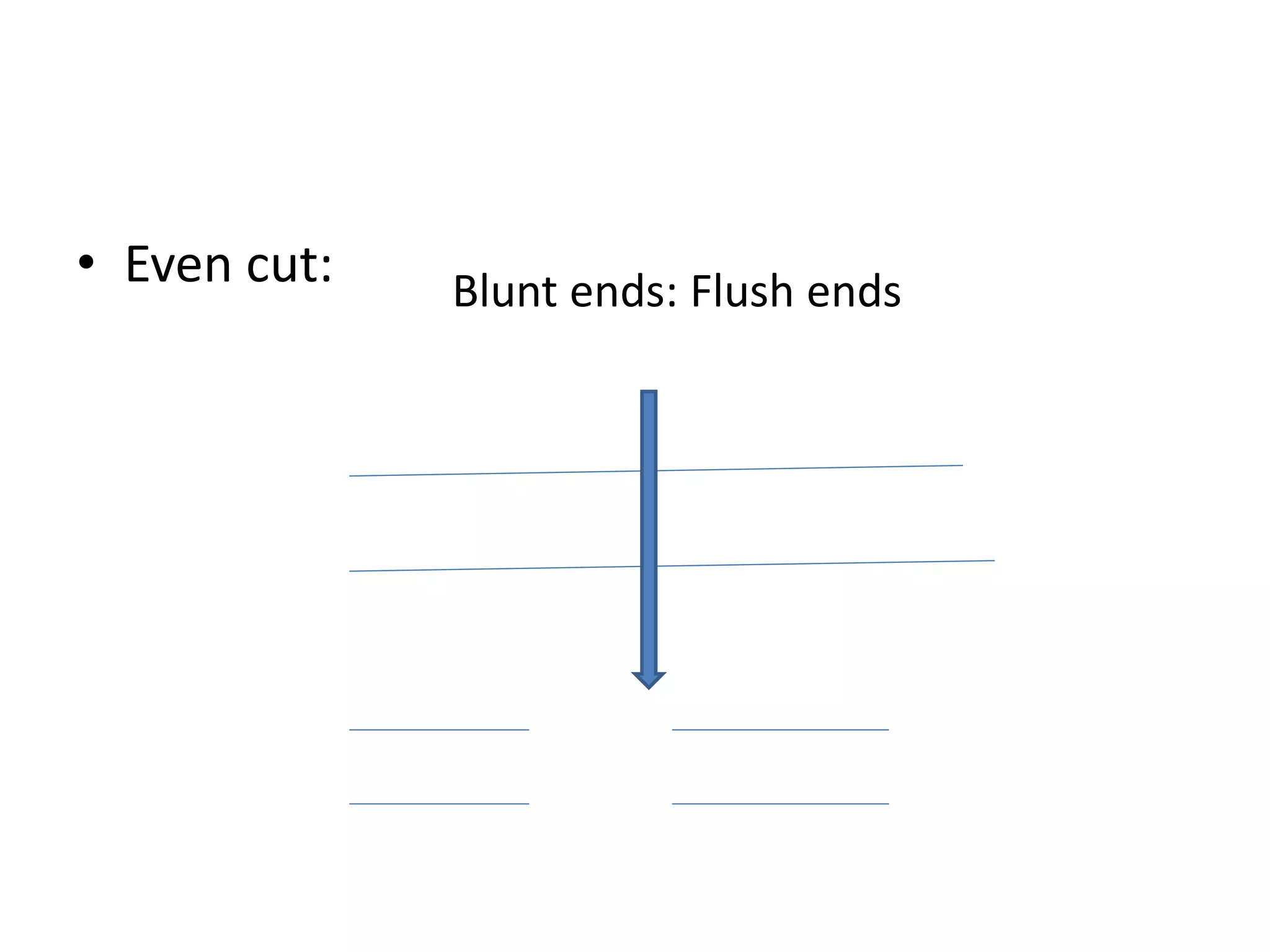 Biotechnology principles and process: Vectors, Restriction endonuclease enzymes, Tools of r-DNA technology