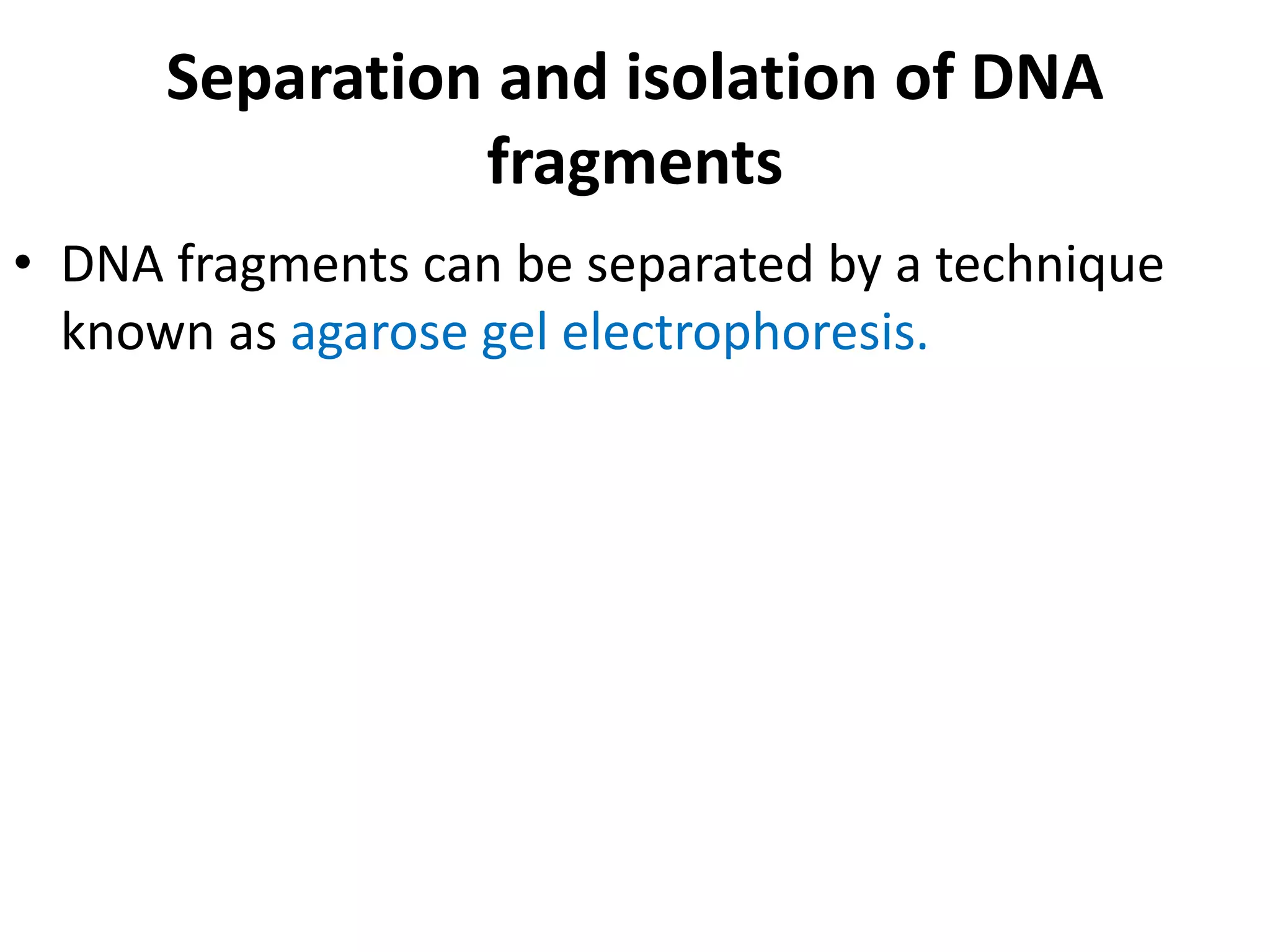 Biotechnology principles and process: Vectors, Restriction endonuclease enzymes, Tools of r-DNA technology