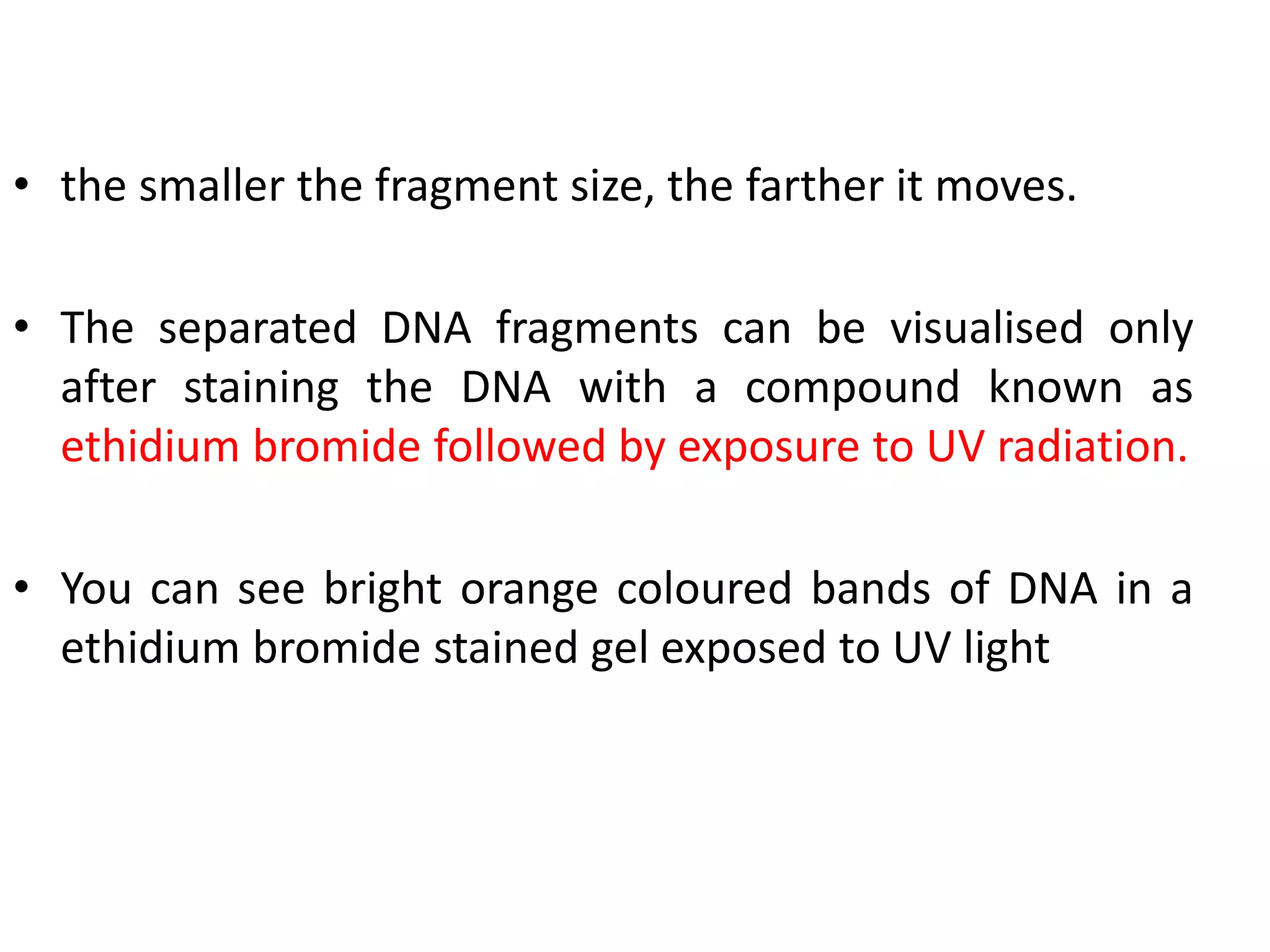 Biotechnology principles and process: Vectors, Restriction endonuclease enzymes, Tools of r-DNA technology