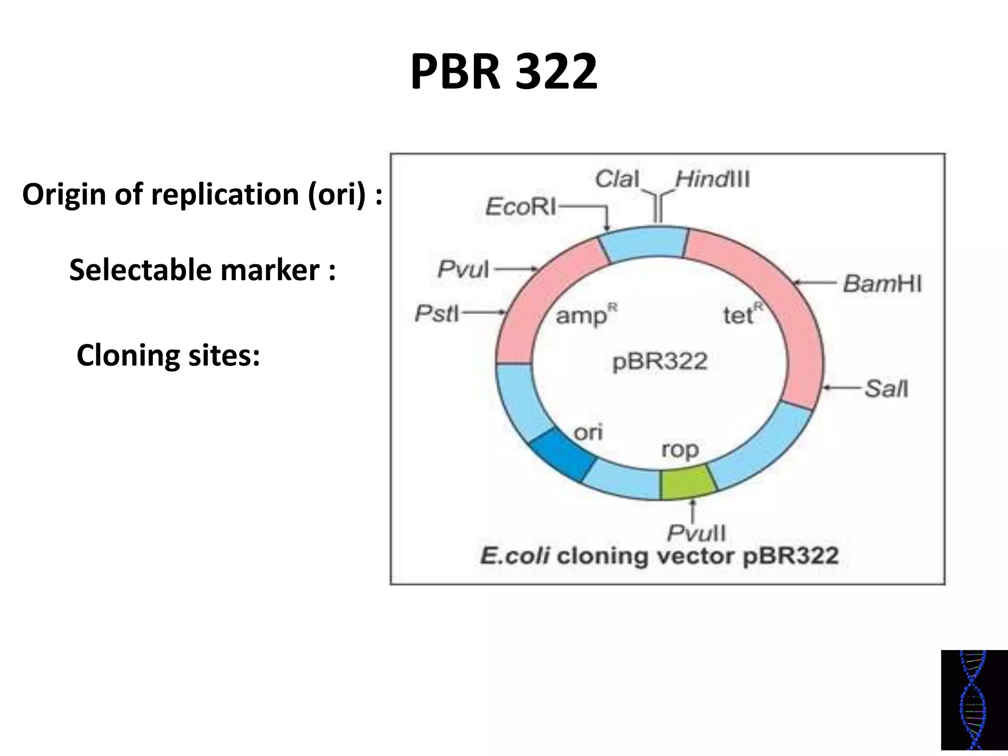 Biotechnology principles and process: Vectors, Restriction endonuclease enzymes, Tools of r-DNA technology