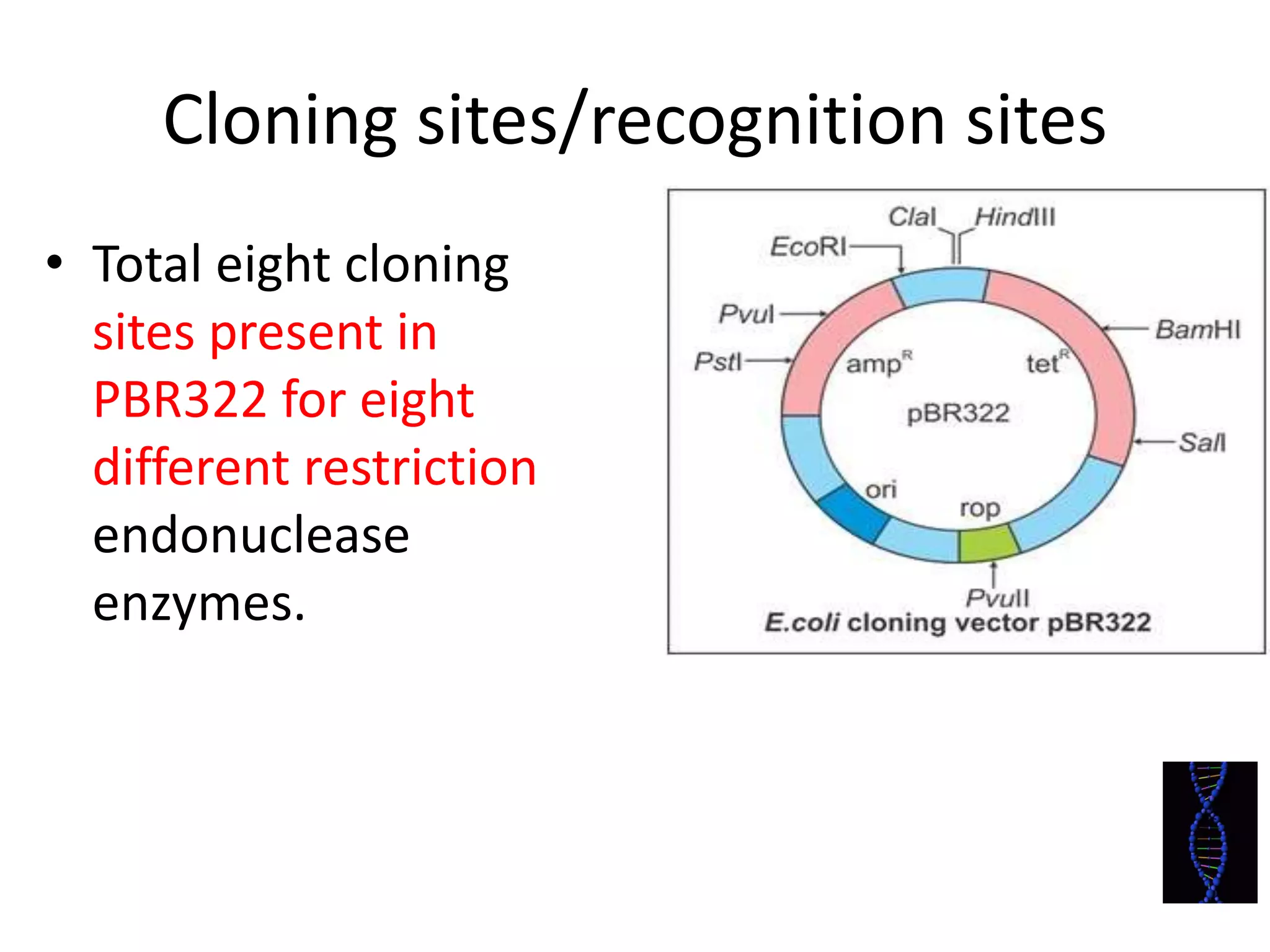 Biotechnology principles and process: Vectors, Restriction endonuclease enzymes, Tools of r-DNA technology
