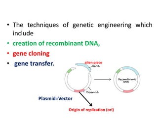 Dna Vector Restriction Pattern Biotechnology principles and process: Vectors, Restriction endonuclease ...