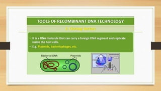 Biotechnology Principles and processes.pptx
