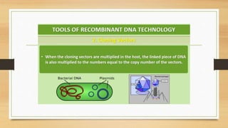 Biotechnology Principles and processes.pptx