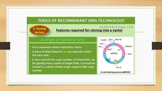 Biotechnology Principles and processes.pptx