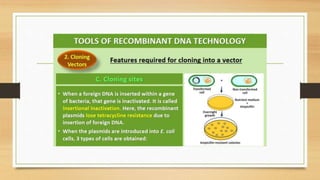 Biotechnology Principles and processes.pptx