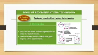 Biotechnology Principles and processes.pptx