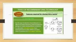 Biotechnology Principles and processes.pptx