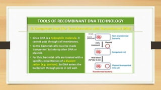 Biotechnology Principles and processes.pptx