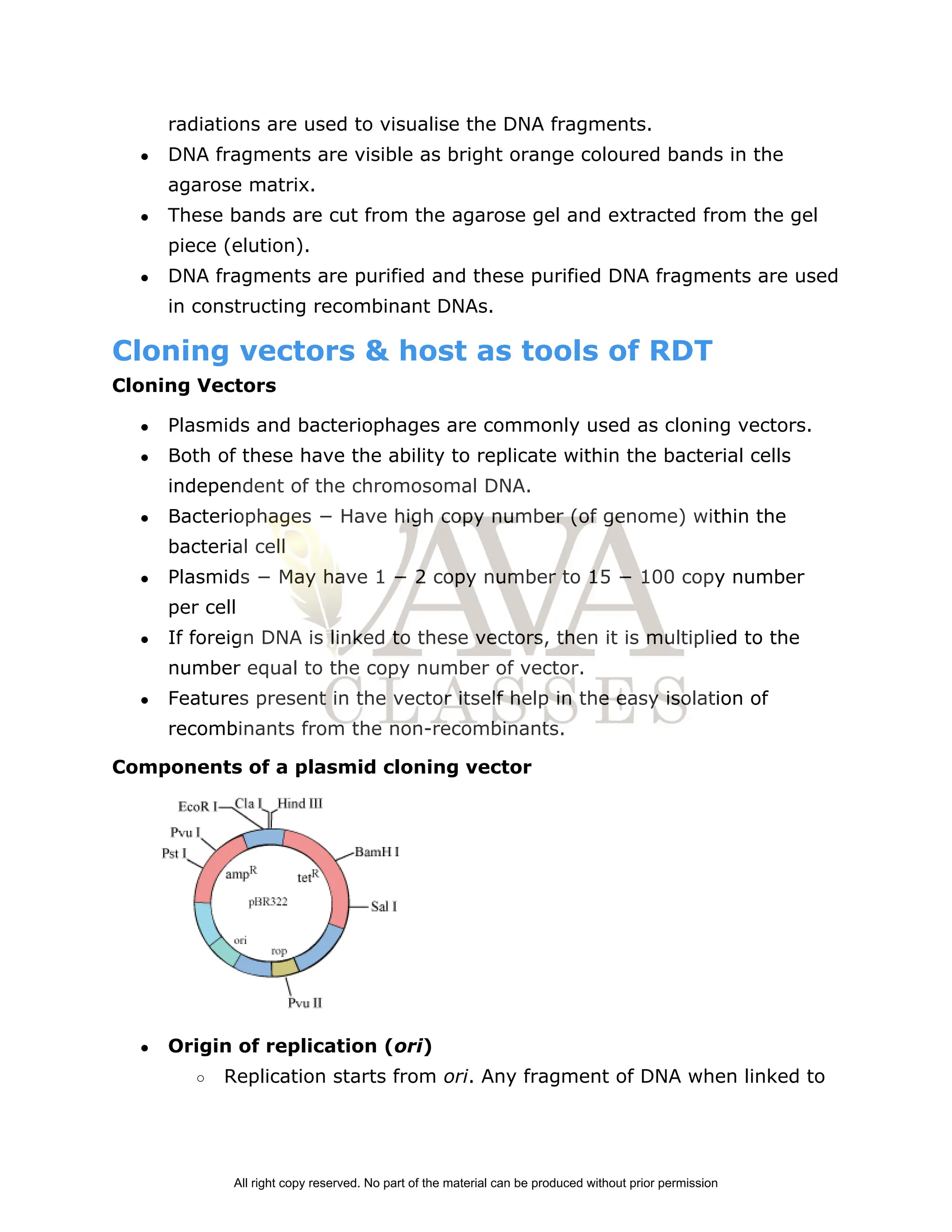 radiations are used to visualise the DNA fragments.
● DNA fragments are visible as bright orange coloured bands in the
agarose matrix.
● These bands are cut from the agarose gel and extracted from the gel
piece (elution).
● DNA fragments are purified and these purified DNA fragments are used
in constructing recombinant DNAs.
Cloning vectors & host as tools of RDT
Cloning Vectors
● Plasmids and bacteriophages are commonly used as cloning vectors.
● Both of these have the ability to replicate within the bacterial cells
independent of the chromosomal DNA.
● Bacteriophages − Have high copy number (of genome) within the
bacterial cell
● Plasmids − May have 1 − 2 copy number to 15 − 100 copy number
per cell
● If foreign DNA is linked to these vectors, then it is multiplied to the
number equal to the copy number of vector.
● Features present in the vector itself help in the easy isolation of
recombinants from the non­recombinants.
Components of a plasmid cloning vector
● Origin of replication (​
ori​
)
○ Replication starts from ​
ori​
. Any fragment of DNA when linked to
All right copy reserved. No part of the material can be produced without prior permission
 