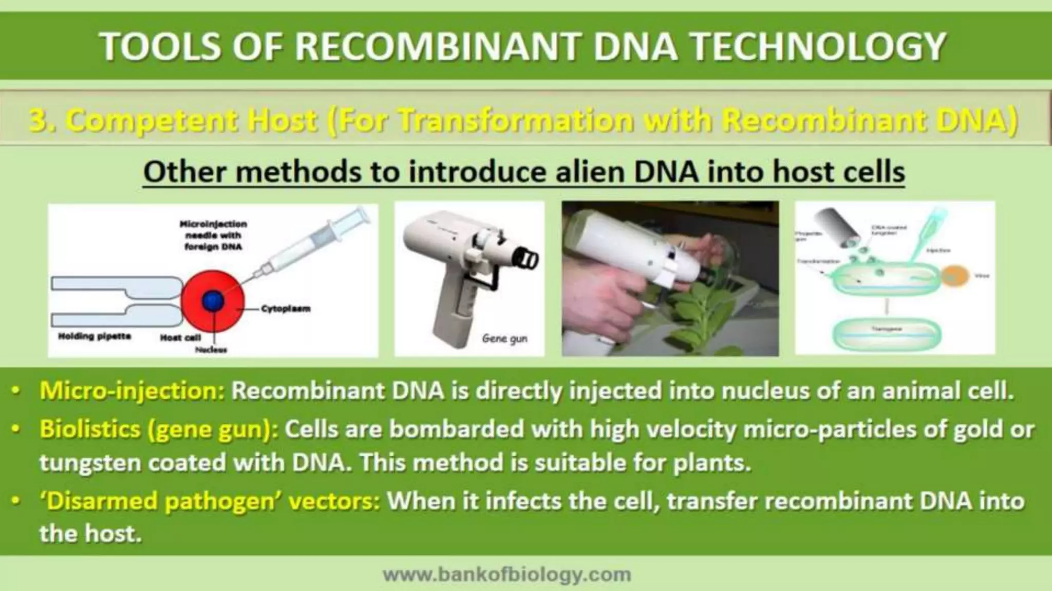 Biotechnology: Principles and Processes [Courtesy - BANK OF BIOLOGY] | PPTX
