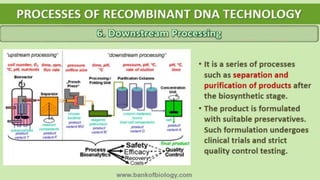 Biotechnology: Principles and Processes [Courtesy - BANK OF BIOLOGY] | PPTX