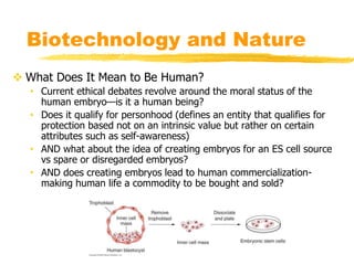 Biotechnology and Nature
 What Does It Mean to Be Human?
• Current ethical debates revolve around the moral status of the...