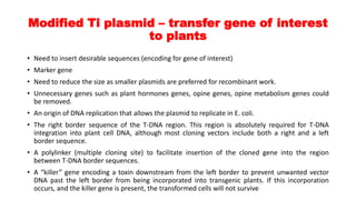 Modified Ti plasmid – transfer gene of interest
to plants
• Need to insert desirable sequences (encoding for gene of interest)
• Marker gene
• Need to reduce the size as smaller plasmids are preferred for recombinant work.
• Unnecessary genes such as plant hormones genes, opine genes, opine metabolism genes could
be removed.
• An origin of DNA replication that allows the plasmid to replicate in E. coli.
• The right border sequence of the T-DNA region. This region is absolutely required for T-DNA
integration into plant cell DNA, although most cloning vectors include both a right and a left
border sequence.
• A polylinker (multiple cloning site) to facilitate insertion of the cloned gene into the region
between T-DNA border sequences.
• A “killer” gene encoding a toxin downstream from the left border to prevent unwanted vector
DNA past the left border from being incorporated into transgenic plants. If this incorporation
occurs, and the killer gene is present, the transformed cells will not survive
 