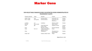 Marker Gene
 