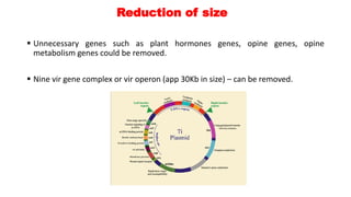  Unnecessary genes such as plant hormones genes, opine genes, opine
metabolism genes could be removed.
 Nine vir gene complex or vir operon (app 30Kb in size) – can be removed.
Reduction of size
 
