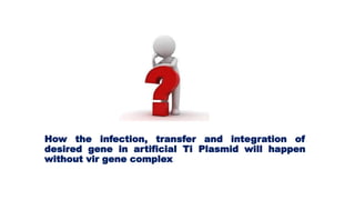 How the infection, transfer and integration of
desired gene in artificial Ti Plasmid will happen
without vir gene complex
 