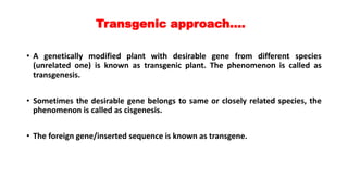 Transgenic approach….
• A genetically modified plant with desirable gene from different species
(unrelated one) is known as transgenic plant. The phenomenon is called as
transgenesis.
• Sometimes the desirable gene belongs to same or closely related species, the
phenomenon is called as cisgenesis.
• The foreign gene/inserted sequence is known as transgene.
 
