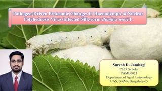 Pathogen-Driven Proteomic Changes in Haemolymph of Nuclear
Polyhedrosis Virus-Infected Silkworm Bombyx mori L
1
 
