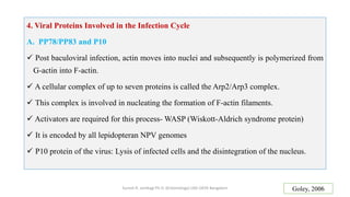 Pathogen-Driven Proteomic Changes in Haemolymph of NPV-Infected ...