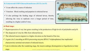 Pathogen-Driven Proteomic Changes in Haemolymph of NPV-Infected ...