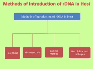 Methods of introduction of rDNA in Host
Heat Shock Microinjection
Bollistic
Method
Use of disarmed
pathogen
 